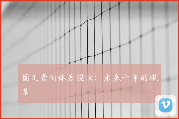 国足青训体系现状：未来十年的根基